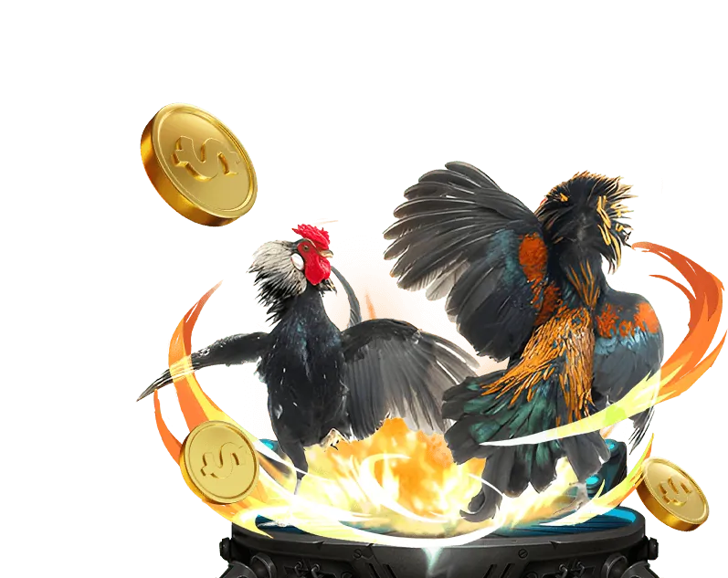 Lịch sử phát triển của top nhà cái uy tín hàng đầu